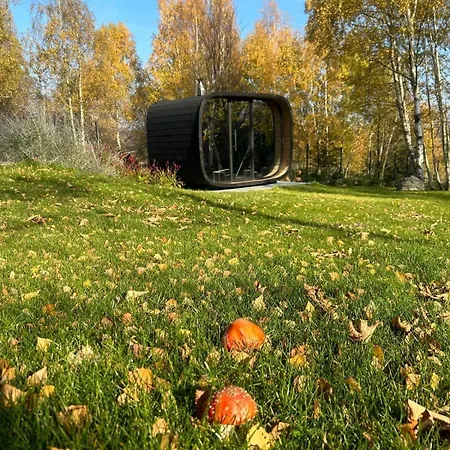Brzozowa Villa Zagorze Slaskie